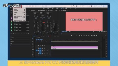 pr錄音設(shè)備的開(kāi)啟如何看影片錄制自己的聲音